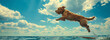 dog launching off a diving board into the ocean