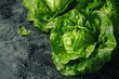Fresh green lettuce with water droplets, a symbol of organic nutrition and healthy food
