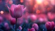  a group of pink tulips in a field with a blurry boke of light in the background.