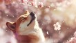 Pies Shiba Inu delektuje się zapachem wiosennych kwiatów latających wokół niego otaczając go. 