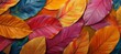 A close-up view of leaves in bright colors, with multi-layered color fields, eco-friendly craftsmanship, and detailed botanic studies in dark yellow and light gold colors.