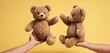 Two hands touching or holding from different sides plush toy to represent parental care and custody