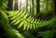 A delicate fern frond unfurling in a lush forest, bathed in soft sunlight filtering through the canopy above