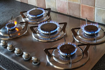 Wall Mural - Blue gas flames burning on a gas hob burner, kitchen gas cooker