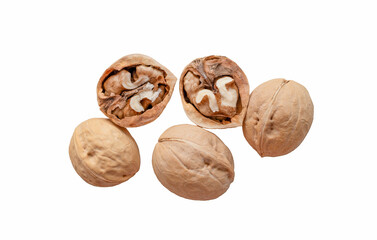 round walnut shell on white background