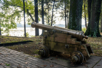 Wall Mural - Cannon at Arkansas Post National Memorial. Site of first European settlement in Mississippi Alluvial Plain and present-day U.S. state of Arkansas. 