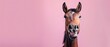 Happy Horse Portrait with Pink Background