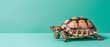 Cheerful Turtle on Pastel Mint
