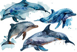 Fototapeta Dziecięca - Hand drawn watercolor dolphin sea animals illustration on transparent background