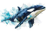 Fototapeta Dziecięca - Hand drawn watercolor dolphin sea animals illustration on transparent background