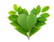 Grünes Herz mit Blättern gelegt isoliert auf weißen Hintergrund, Freisteller 