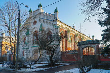 Wall Mural - city castle in winter