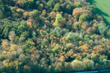 Fototapeta Paryż - vue aérienne de forêt à l'automne en France