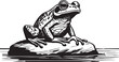 An illustration of a frog sitting on a rock in the water.