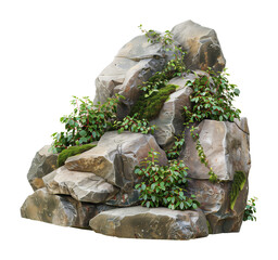 Wall Mural - Large Rock with Moss and Plants Isolated on Transparent Background
