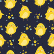 Seamless pattern with yellow funny chicken chick. Funny yellow chickens, vector illustration. seamless pattern.
