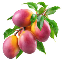 Wall Mural - Fresh ripe mangoes with green leaves isolated