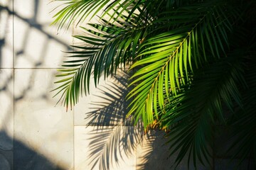 Wall Mural - Tropical Shadow palm leaves. Plant tropic. Generate Ai