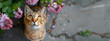 Beautiful cat on the pavement looking up. View through the lilac branches flowers with a touch of spring vibes. 