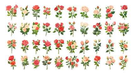 Wall Mural - roses branches with buds spikes cartoon style. flowers decorative plants big bundle pink red beige c