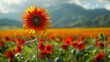 a sunflower in a field of red and yellow flowers with a mountain range in the distance in the background.