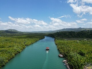 Bohol Loboc river cruise on Philippines. Palms, cloudy sky, hills