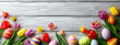 Easter style decoration banner. Coloured eggs and coloured tulips on light grey wooden background. Holiday celebration greeting card. Copy space. Generative AI