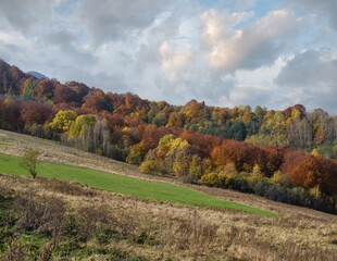 Wall Mural - cloudy morning autumn mountain scene. peaceful picturesque traveling, seasonal, nature and countrysi