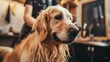 © ArtStage - A committed dog groomer caring for pets with patience and expertise  AI generated illustration