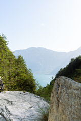 wildlife growing on a hillside in the Alps with Monte Baldo and Garda Lake in the background