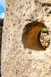 Ggantija Temples - Gozo - Malta