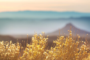 Canvas Print - Mountains meadow