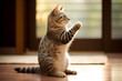 Cat scratching to stretch their muscles for maintaining flexibility and overall physical health.