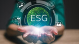 Fototapeta Desenie - A person is holding a globe with the letters ESG on it