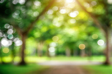 defocused bokeh and blur background of garden trees.