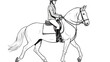 Hand drawn horse black and white with riding equipme