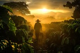 Fototapeta  - Farmer Walking Through Coffee Fields at Sunrise