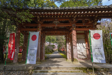 Wall Mural - 京都 醍醐寺の春景色 日月門