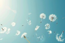 Lying Dandelion Seeds Against A Serene Blue Background, Copy Space For Text