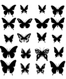 Fototapeta  - set of butterflies isolated