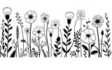 Fototapeta  - black and white background with flowers