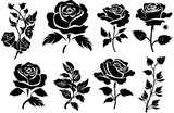 Fototapeta  - set of black and white roses