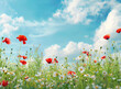 Beautiful spring meadow with red poppies and daisies, blue sky with clouds in the background