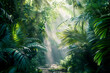 Beautiful green leaves in a tropical forest with sunlight shining through the fog. A tropical forest trail with large leaves on the sides
