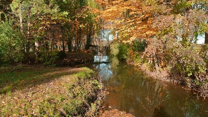 Wall Mural - Falling leaves stright in to the river in autumn park. Morning scene of Topilche Park in Ternopil, Ukraine, Europe. Beauty of nature concept background. 4K video (Ultra High Definition).