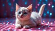 Cute kitten on a shiny background