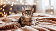chat tigré avec une couronne sur la tête, allongé sur un lit, les yeux fermés