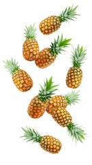 Wall Mural - Falling pineapple isolated on white background, full depth of field