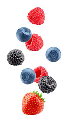 Wall Mural - falling wild berries mix, strawberry, raspberry, blueberry, blackberry, isolated on white background