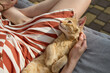 Woman playing with cute ginger kitten on sofa